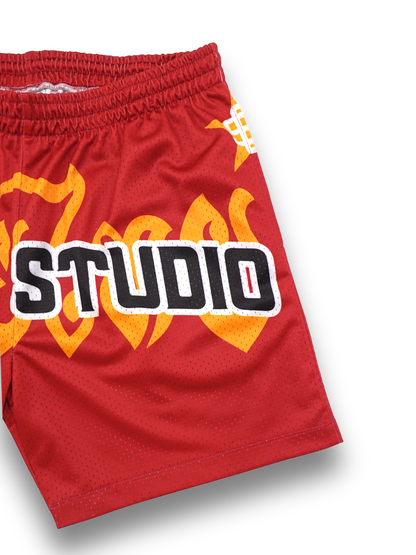 Muay Thai shorts (red)